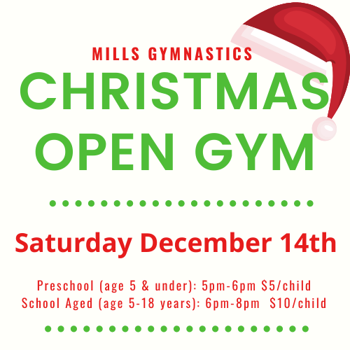 Christmas Open Gym